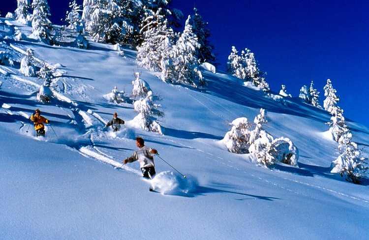 Descente dans la poudreuse - Les Saisies