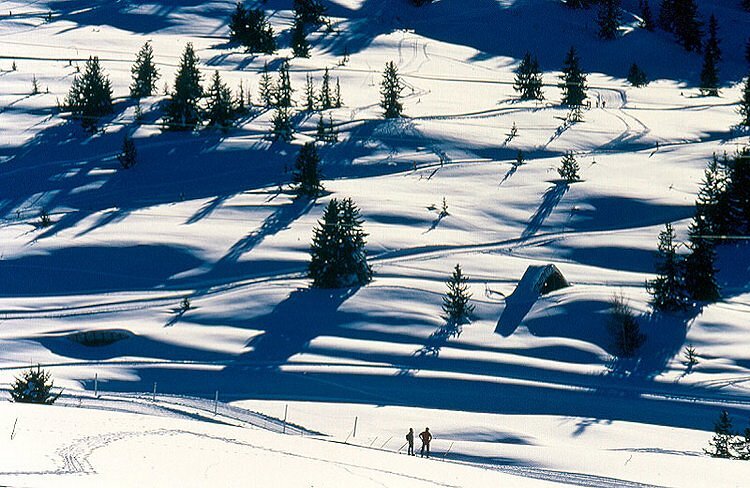 Pistes de ski de fond - Les Saisies