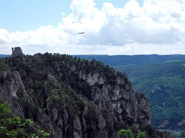 Parc naturel régional des Grands Causses