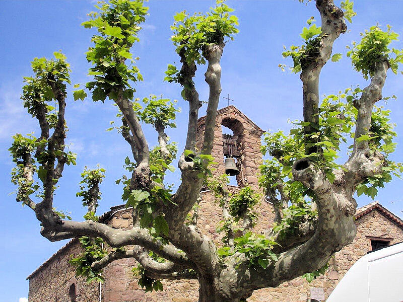 Roquebrune sur Argens