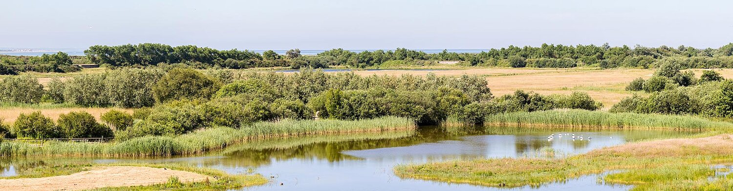 Chambres d'hôtes Baie de Somme