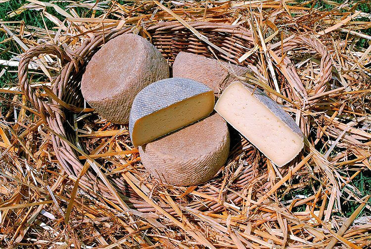 Fromage Palanchou - Lot et Garonne