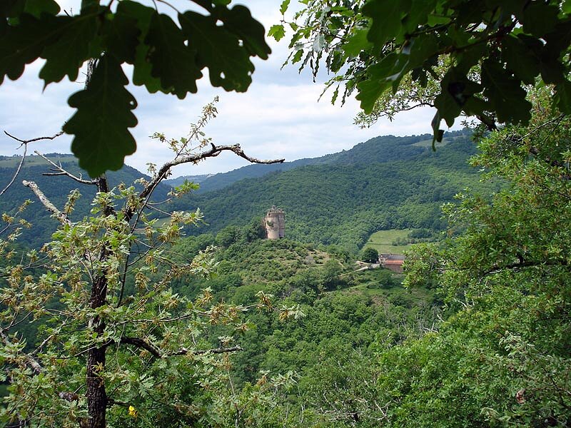 Château de Najac