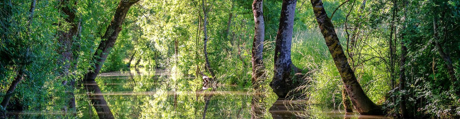 Locations de vacances dans le Parc naturel régional du Marais Poitevin