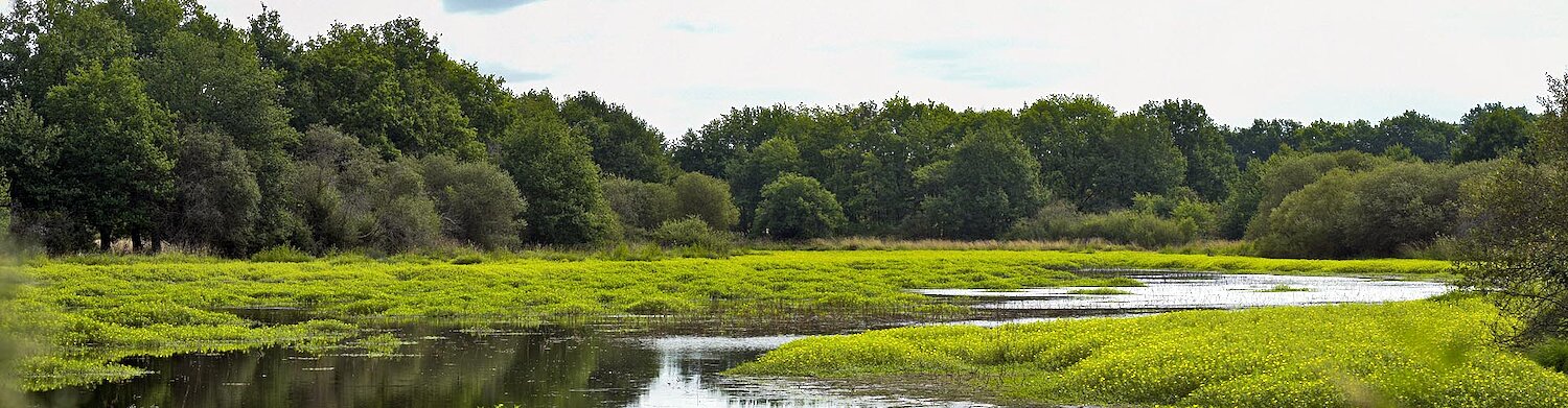 Locations de vacances Sologne