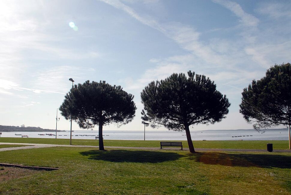 Biscarrosse-Bourg