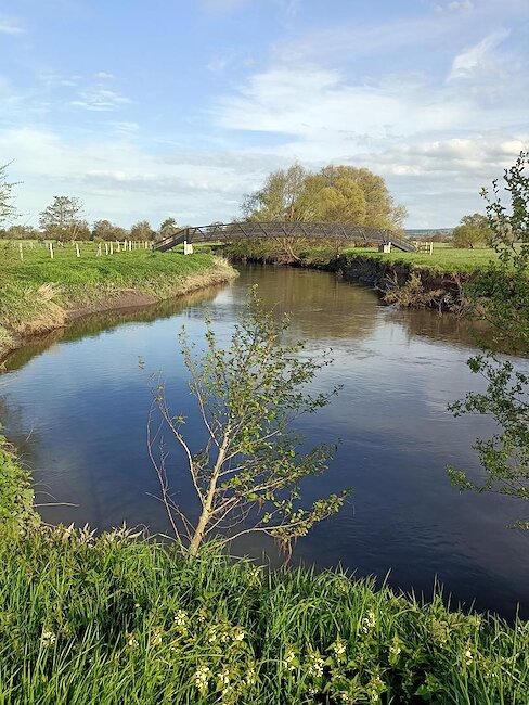 Canapville