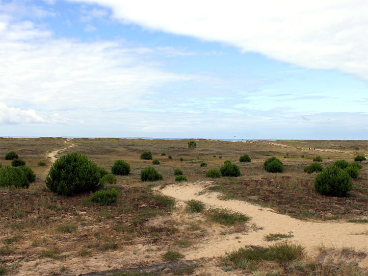 Dunes Dunes