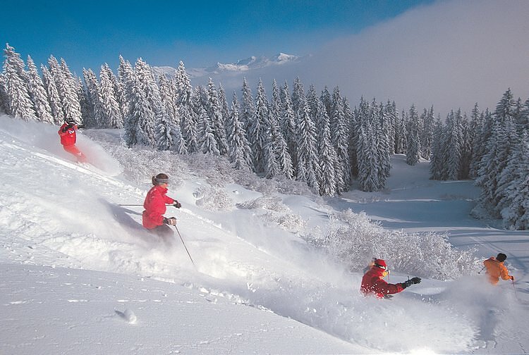 Ski en poudreuse