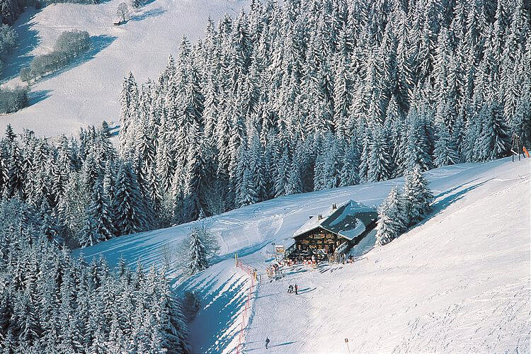 Vue aérienne chalet forestier