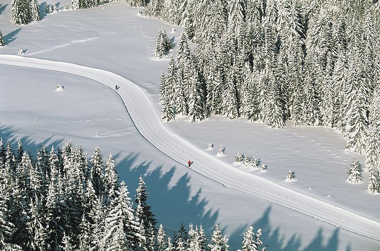Pistes de ski de fond
