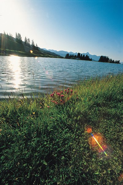 Lac de Javen