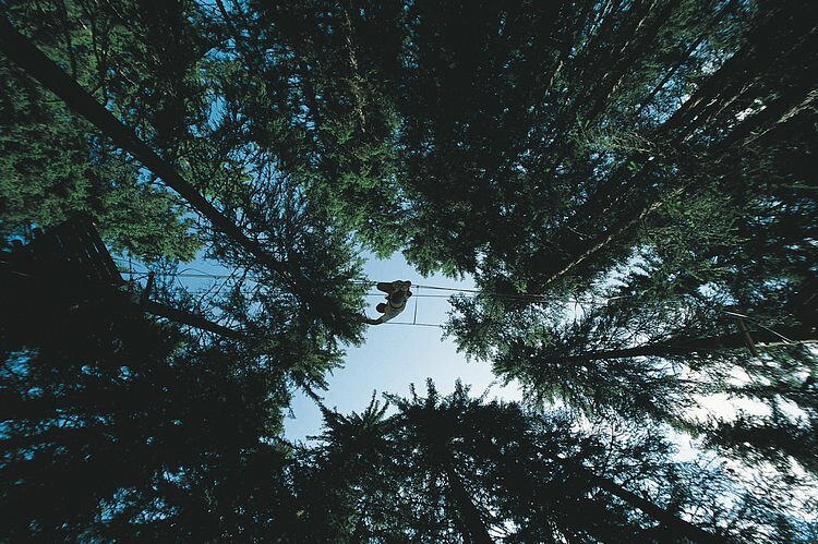 Parc aventure