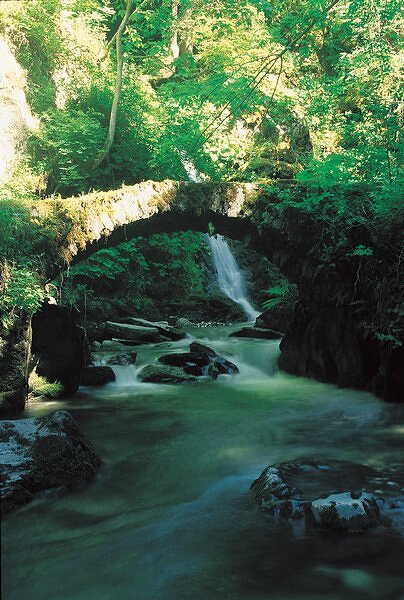 Pont de la Belle au Bois