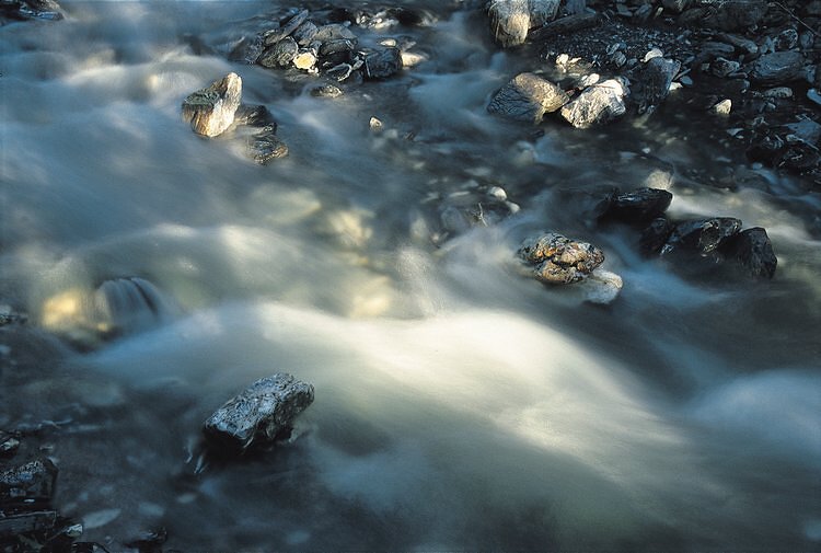 Ruisseau