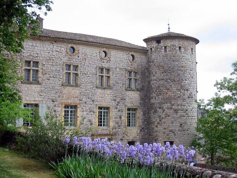 Château de Vogüé