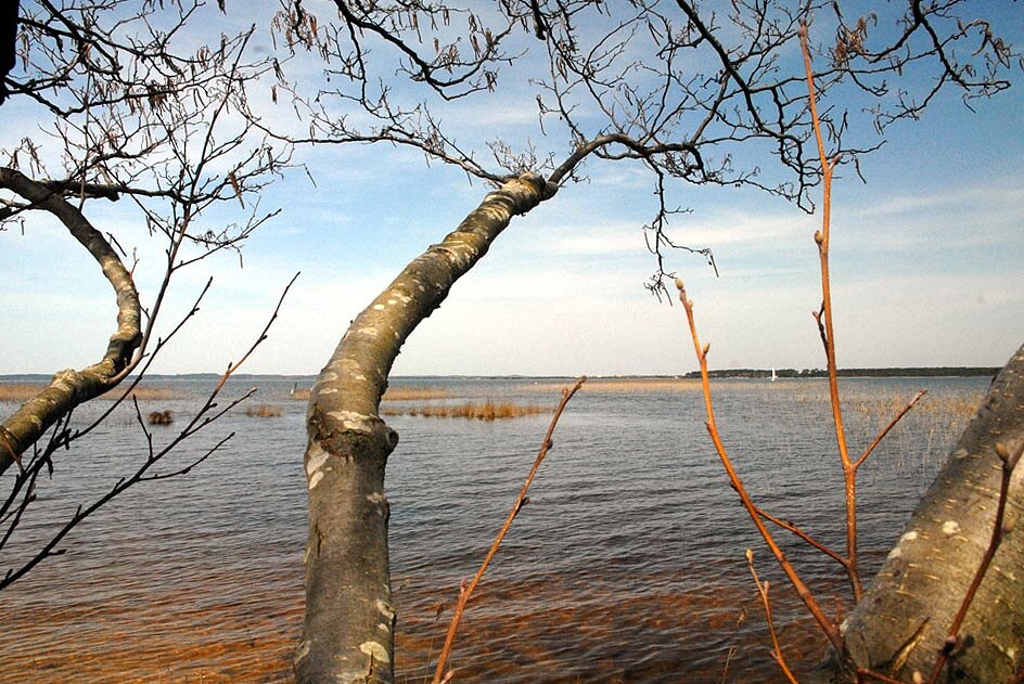 Étang de Cazaux et de Sanguinet