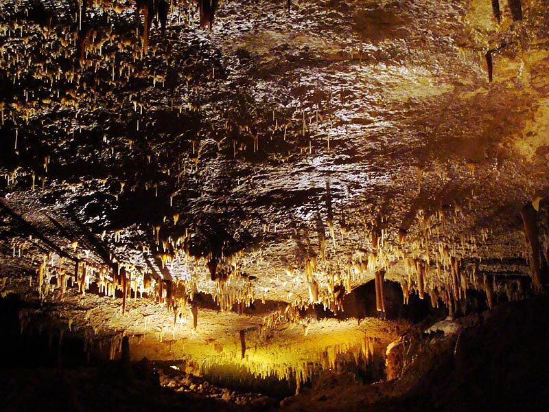 Grottes de Lacave