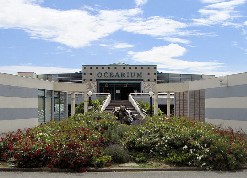 Ocearium du Croisic Ocearium du Croisic