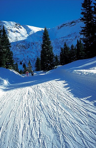 Domaine skiable - Les Carroz
