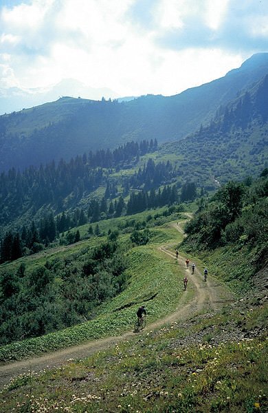 Chemins randonnée VTT - Les Carroz