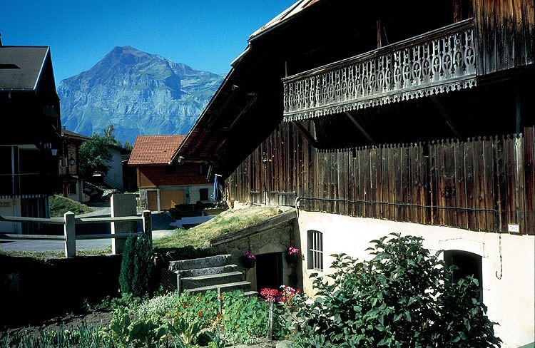 Village en été - Les Carroz