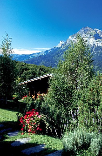 Chalet savoyard - Les Carroz