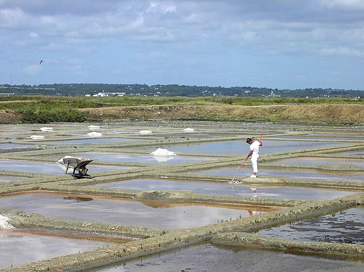Les marais salants Les marais salants