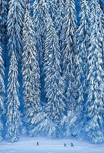Morzine