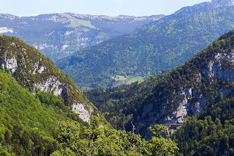 Point de vue des Gorges du Guiers-Vif