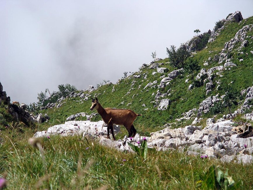 Réserve de Chasse et de Faune Sauvage