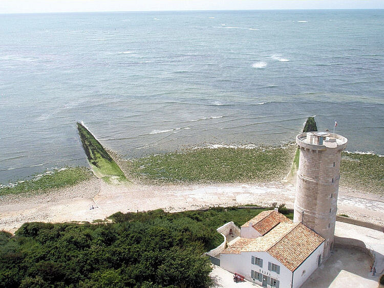 Saint-Clément-des-Baleines