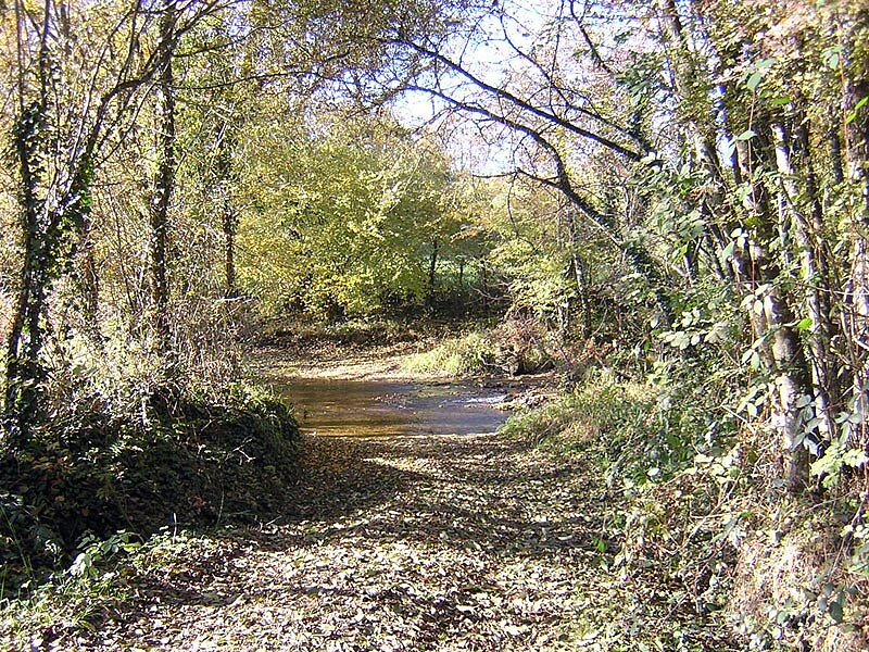 Saint-Martin de Fressengeas