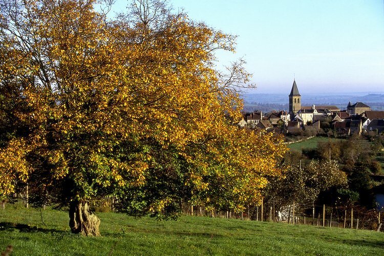 Saint-Révérien - Bourgogne Saint-Révérien - Bourgogne