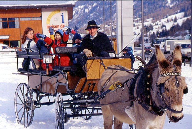 Promenade en âne - Val Cenis Promenade en âne - Val Cenis