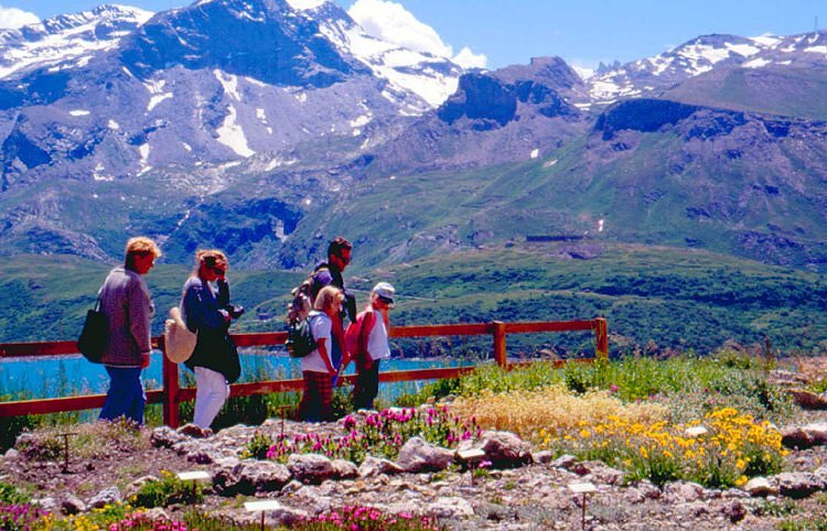 Jardin alpin - Val Cenis Jardin alpin - Val Cenis