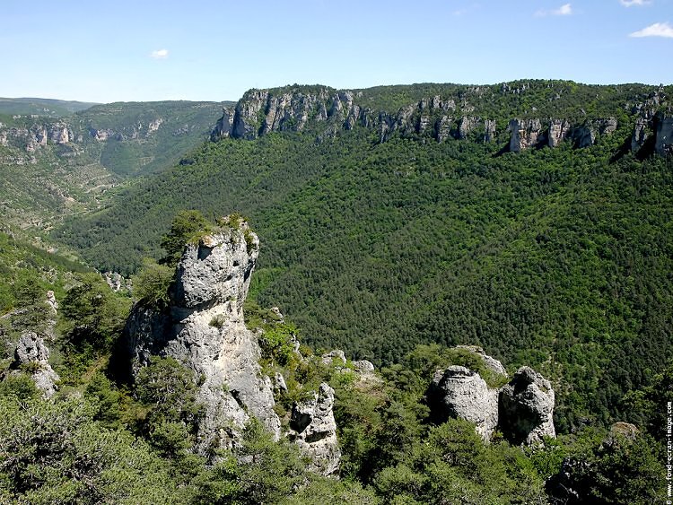 Mont Bouquet