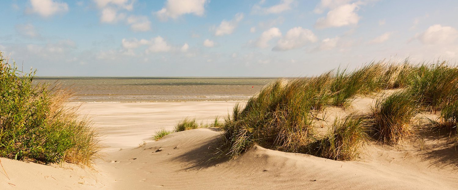 Les dunes des plages de la mer du Nord, Belgique