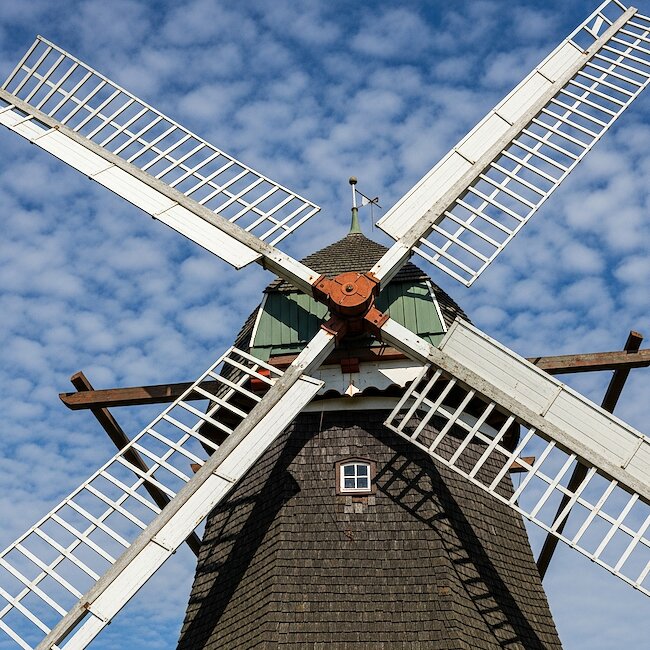 Windmühle bei Oldenswort