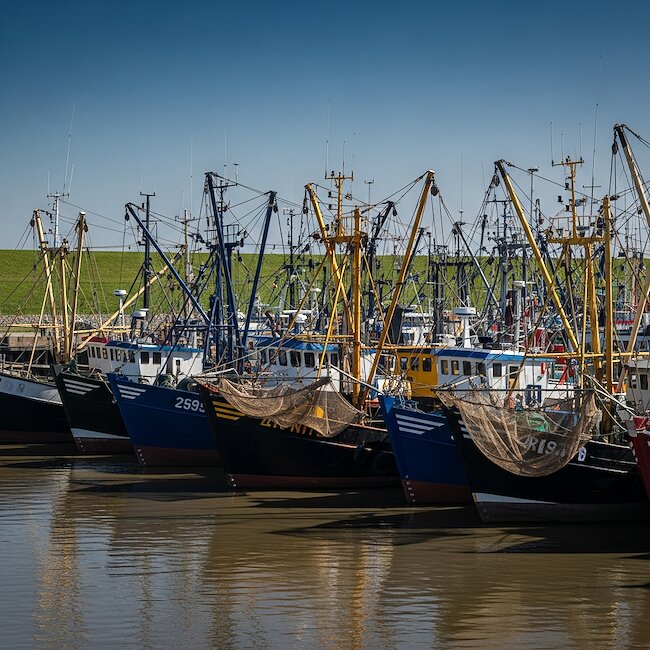 Shrimpkutter bei Greetsiel in Krummhörn Shrimpkutter bei Greetsiel in Krummhörn