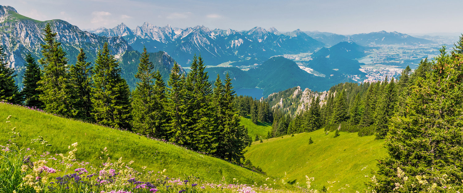 Ferienwohnungen und Ferienhäuser in Rettenberg