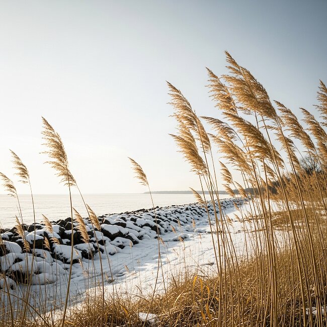 Verschneite Mole in Lauterbach (Rügen)