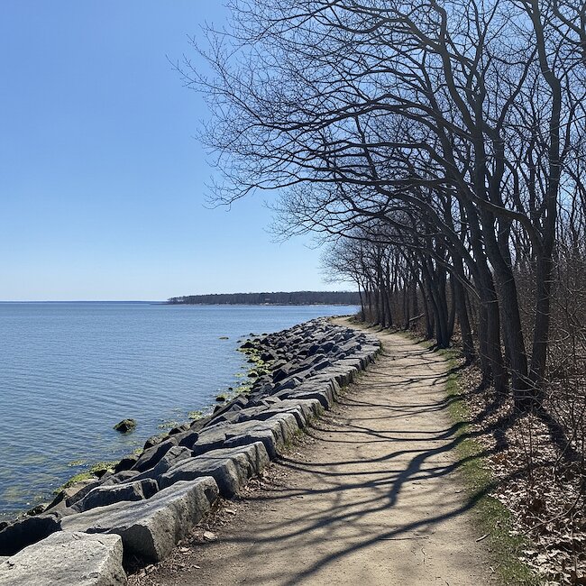 Wanderweg im Waldgebiet Goor bei Lauterbach