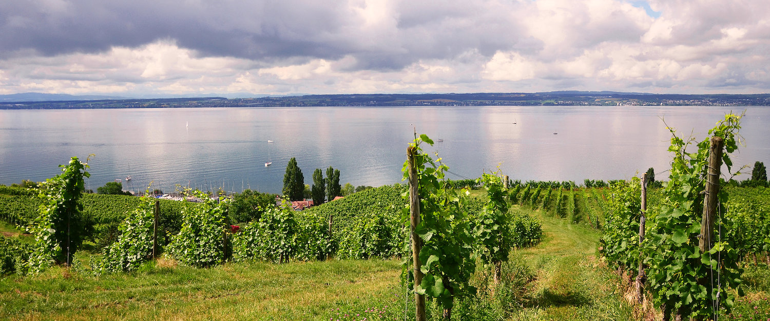 Ferienwohnungen und Ferienhäuser in Markdorf