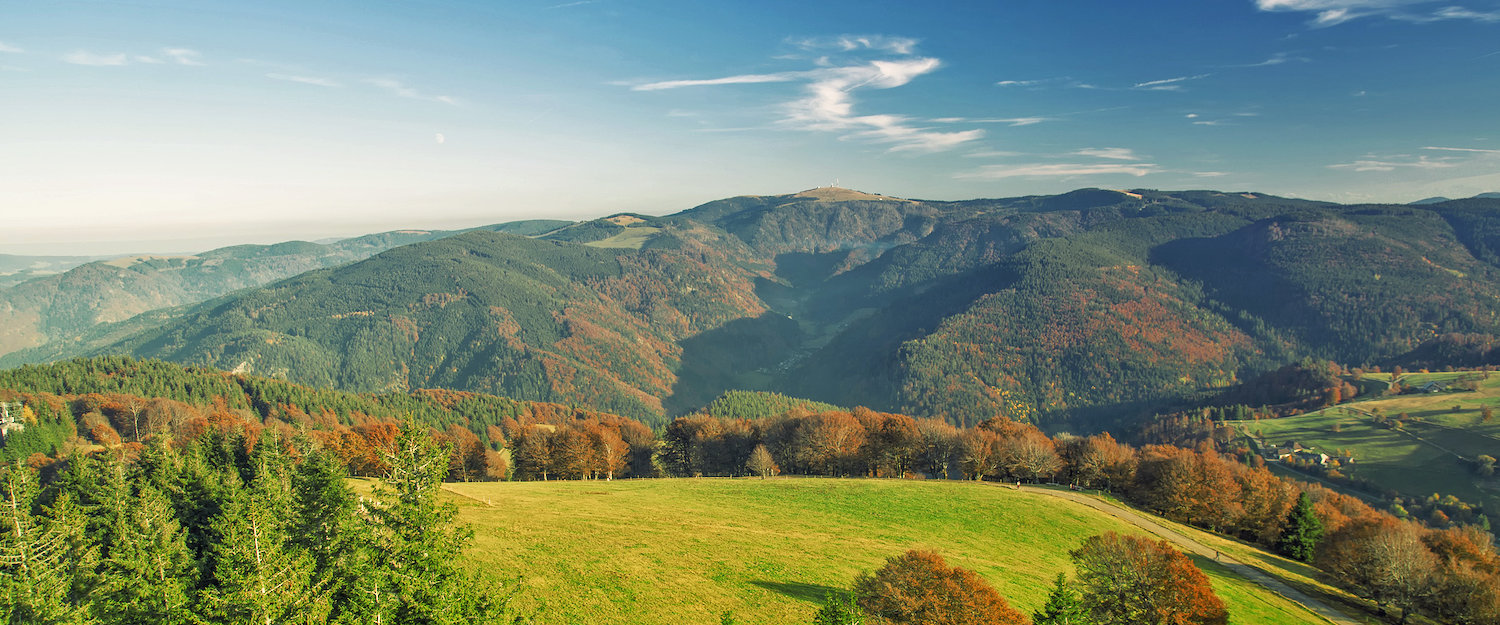 Ferienwohnungen und Ferienhäuser in Oberried