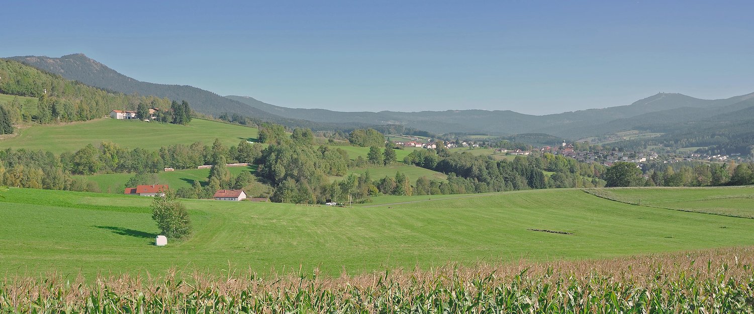 Ferienwohnungen und Ferienhäuser in Bodenmais