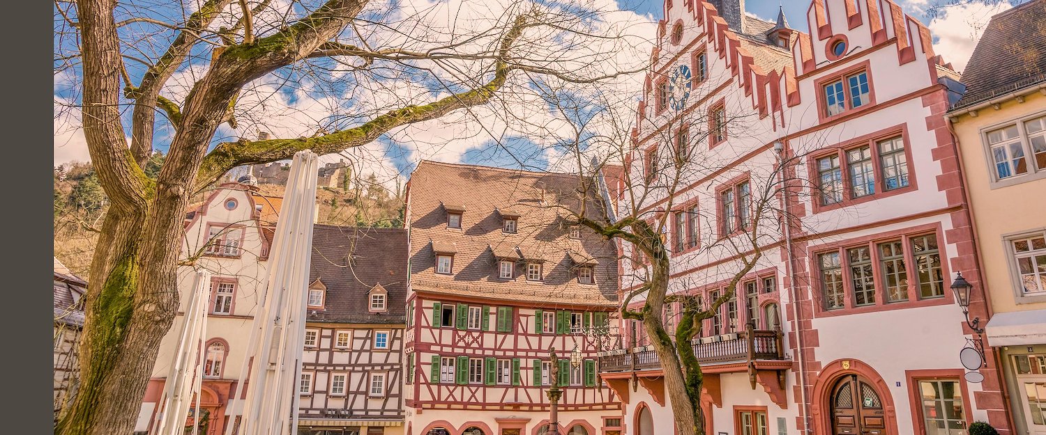 Ferienwohnungen und Ferienhäuser in Weinheim