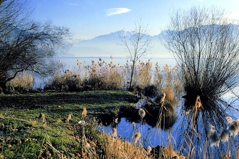 Lac d'Annecy
