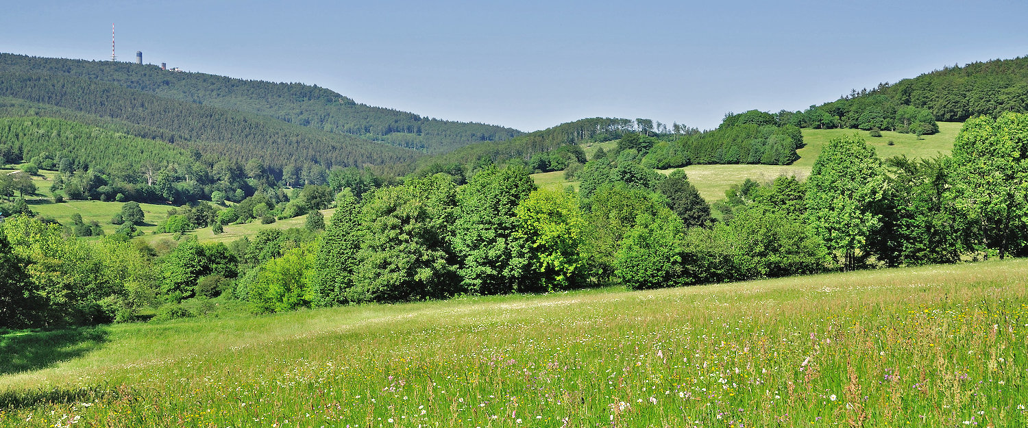 Ferienwohnungen und Ferienhäuser in Brotterode-Trusetal