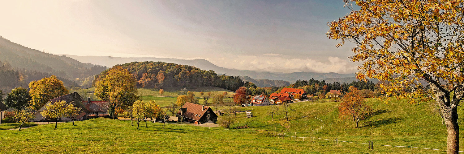 Ferienwohnungen und Ferienhäuser in Brilon